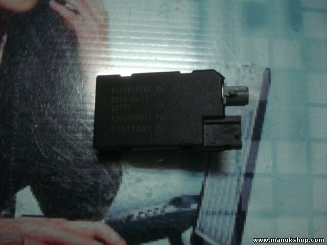 Antennenverstärker Peugeot Citroen 966383998000 9663839980 00 920099001 51219X01