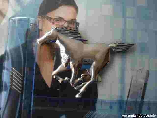 Emblem Logo Hyundai Galloper LH HR630521