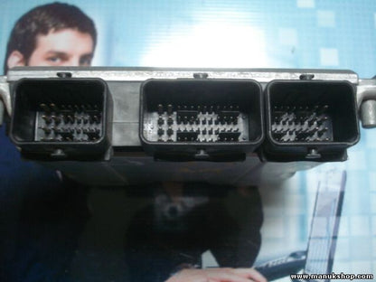 Motorsteuergerät  Citroen C5 9652386080 96 523 860 80 EDC15C295 BOSCH 0281011340