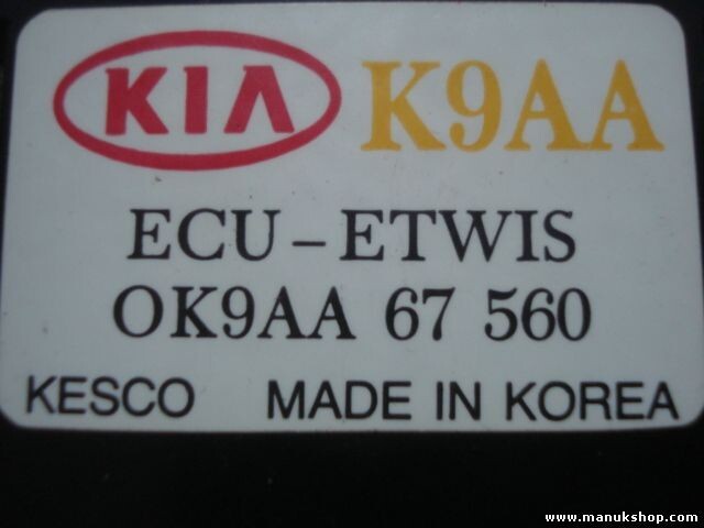 Steuergerät Licht signale Kia Sportage K9AA OK9AA67560 OK9AA 67 560 0K9AA67560
