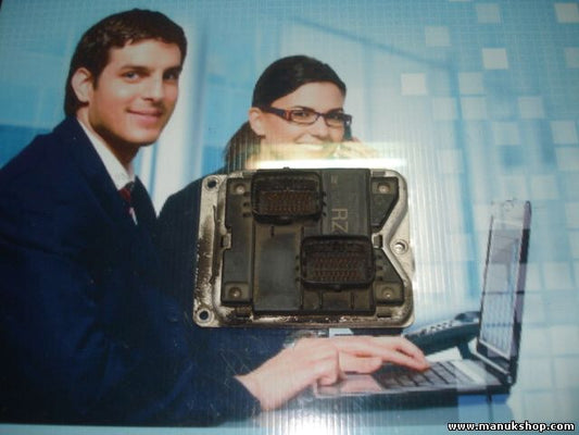 Motorsteuergerät Opel GM B98001 B 98 001 90532610RZ 870139 1279H01481 0261204475