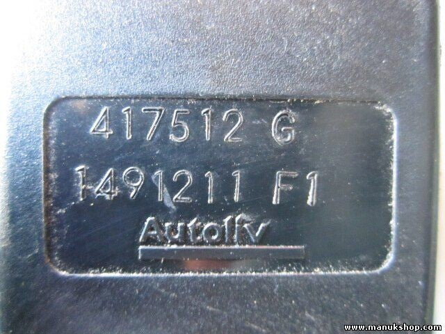 Gurtschloss Gurtschnapper hinten links Renault Scenic RX4 417512G 1491211 F1