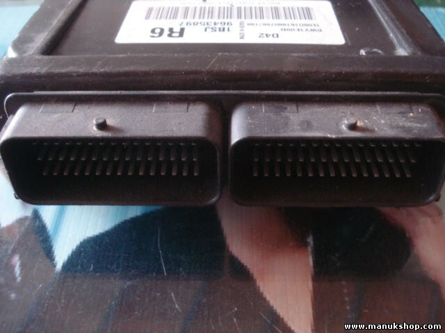 Motorsteuergerät Daewoo Tacuma D42 1BSJ R6 96435897 5WY1E09D