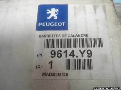 Citroen Peugeot 9614Y9 9614.Y9