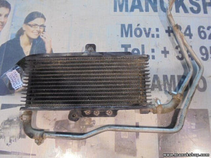 Wasserkühler Jeep Grand Сherokee 4X4 Limited 52027796 59538 T344081104