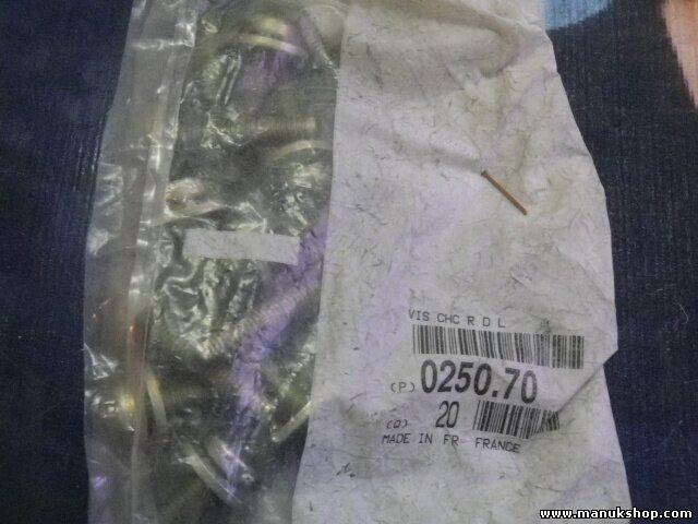 Schraube Citroen Peugeot 025070 0250.70