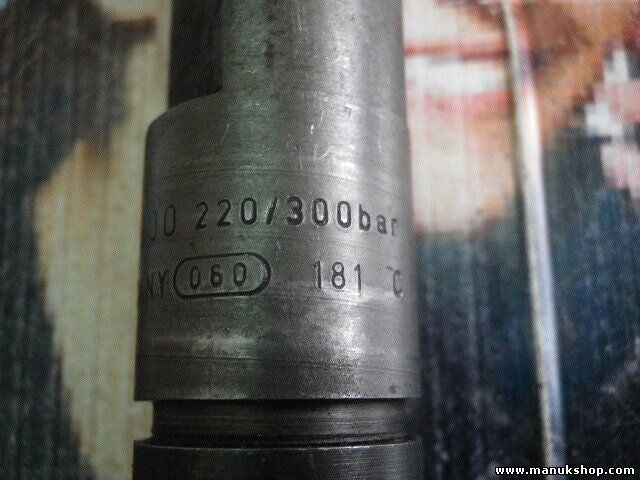 Einspritzdüse injektor VW Audi Skoda Seat 038130202B BOSCH 0432193593