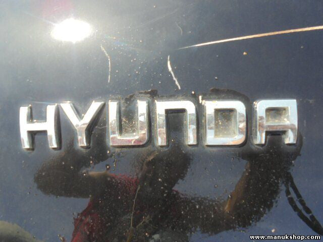 Heckklappe Kofferraumklappe Hyundai Santa Fe 4WD 2001/08-2006/03