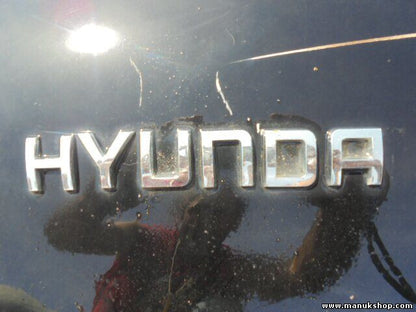 Heckklappe Kofferraumklappe Hyundai Santa Fe 4WD 2001/08-2006/03