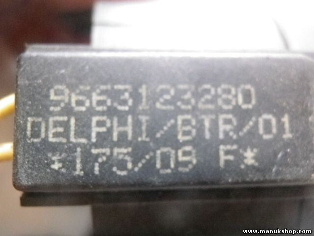 Schlüssel Lesespule Citroen Peugeot 9663123280 DELPHI /BTR/01 175/09 F