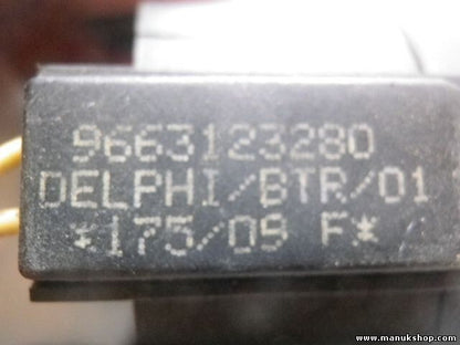 Schlüssel Lesespule Citroen Peugeot 9663123280 DELPHI /BTR/01 175/09 F