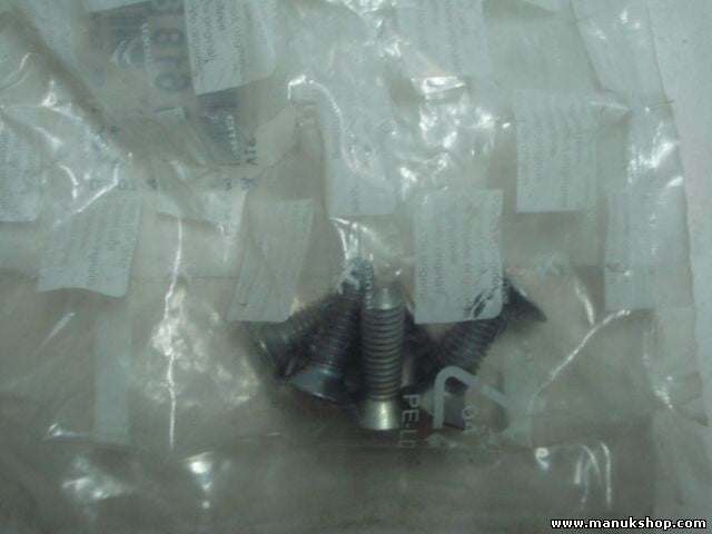 Schraube TF Citroen Peugeot 9661889880 96 618 898 80