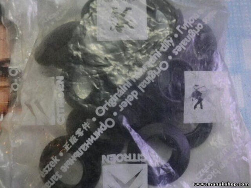 Halteclip Citroen Peugeot 453430 4534 30
