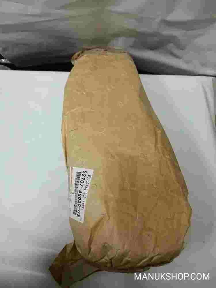 Leiste Hinten Stoßstange Toyota RAV 4 5270742020B3 52707-42020-B3