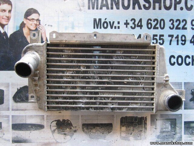 Ladeluftkühler Tata Safari 1.9 TD 4X2 254714609922 254714809922