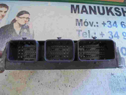 Motorsteuergerät Peugeot SW9666257580 HW9655883280 9666257580 9655883280