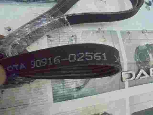 V-Ribbed Belt  Toyota Yaris 9091602561 90916-02561