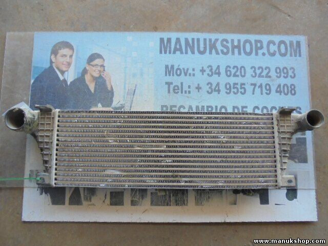 Ladeluftkühler Suzuki Santana Anibal 1.9 1362067J02 1362067J01 IV007002