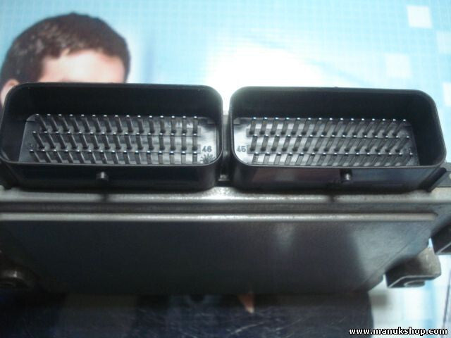 Motorsteuergerät Renault Clio 8200323683 8200272406 SIEMENS S110140200A S1101402