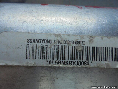 Beifahrer SsangYong Rexton 8621008012 601082000B SWSR8H02AEP 5204717 4426 311T2