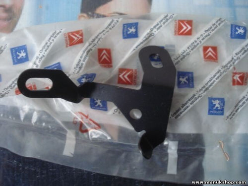 Halter Citroen Peugeot 1618.77 161877