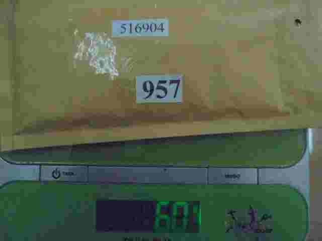 Exzenterscheibe Peugeot 406 5169.04 516904