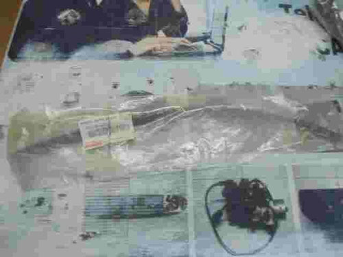 Rubber Wiper Blade  Toyota RAV 4 Lexus LS 460 8521442050 85214-42050