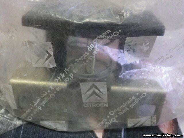 Citroen Peugeot 8724.49 872449