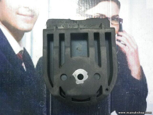 Halterung Festsetzung Peugeot 9684046580 96 840 465 80 VIC 5 EPDM 761908 7619.08