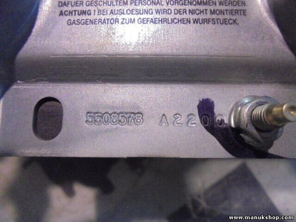 Beifahrer Renault Scenic 8200049223C N7784-CZ+P/C58 0037441500158 5508578 A2200