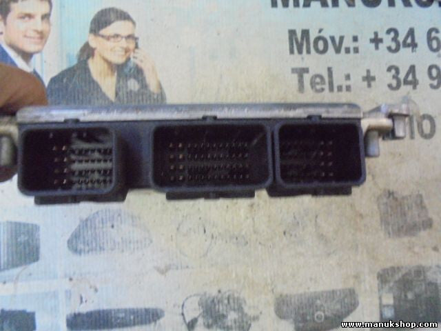 Motorsteuergerät Peugeot 206 2.0 9648394480 9640938680 BOSCH 0281011083