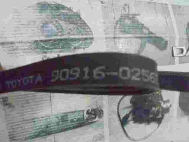 V-Ribbed Belt  Toyota Yaris 9091602561 90916-02561