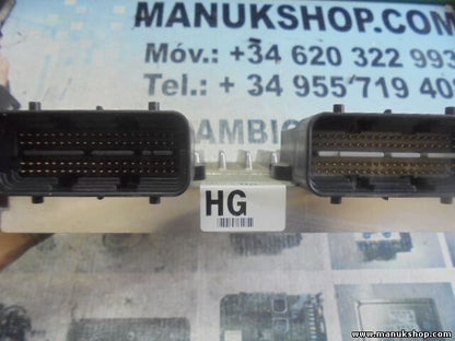 Motorsteuergerät Kia Opirus Amanti 3.5 3.8  2008 391103C821 DELPHI 11871497 AVMG