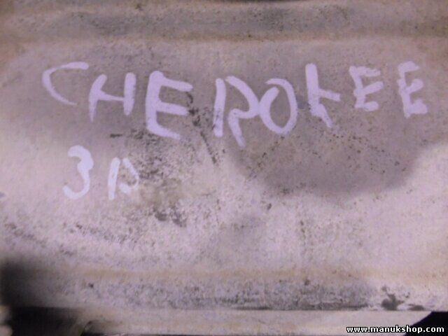 Verteilergetriebe Jeep Grand Сherokee C16118S C 16118 S C-16118 S 091045 C161177