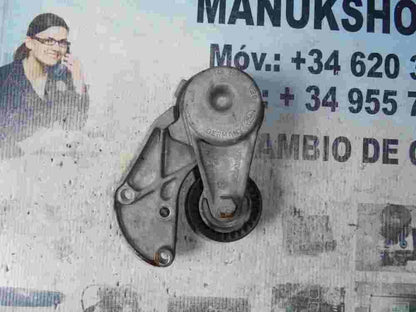 Spannrolle Zahnriemen Porsche Cayenne Año 2008 3.6 Gasolina E6920A110540 145 299