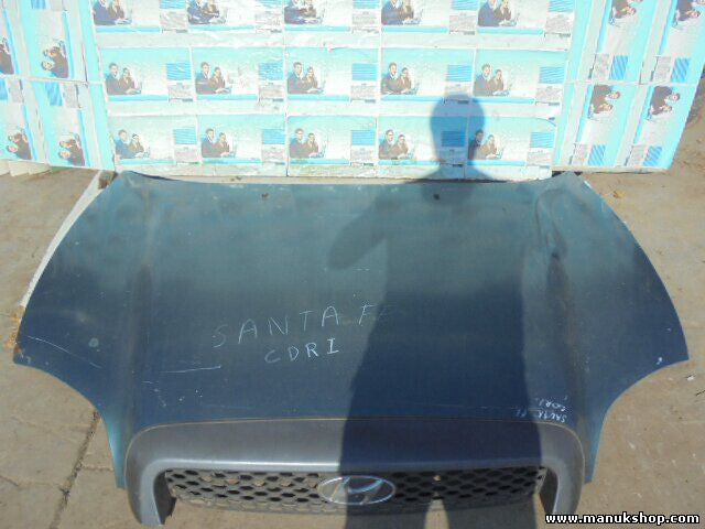 Motorhaube Hyundai Santa Fé I SM 2.0 CRDi 2001/04-2006/03 1991 ccm,83 KW,113 PS