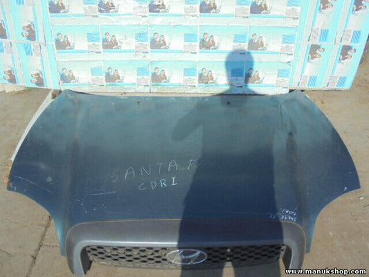 Motorhaube Hyundai Santa Fé I SM 2.0 CRDi 2001/04-2006/03 1991 ccm,83 KW,113 PS