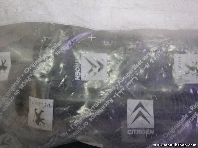 Citroen Peugeot 0204.98 020498
