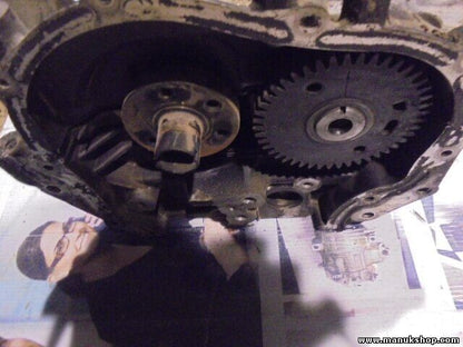 Zylinderkopf Nissan Qashqai J10 2.0 dCi 110kW 8200808824 DP8.11 M9Z05 M616474