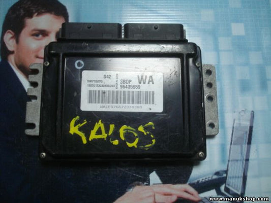 Motorsteuergerät Chevrolet Kalos 3B0P WA 96435559 5WY1E07G 1E07G172330308/233