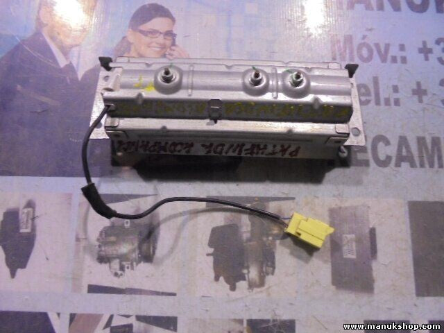Beifahrer Nissan Pathfinder R15 APEB3064040391 0063034 APEB