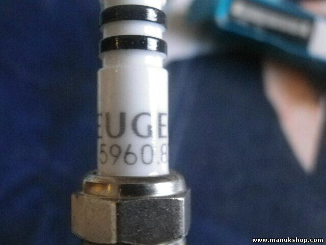 Citroen Peugeot 5960.83 596083