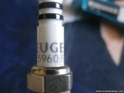Citroen Peugeot 5960.83 596083
