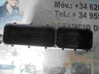 Motorsteuergerät Ssangyong Rodius A6655404432 A665 540 44 32