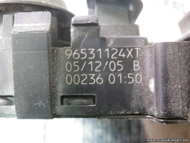 Fensterheber schalter Peugeot 307 2008 96531124XT 01127 53269704/6 53269700/1