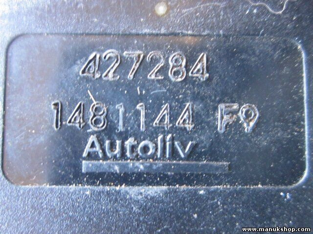 Gurtschloss Gurtschnapper hinten mittel Renault Scenic RX4 1481144 F0 427284