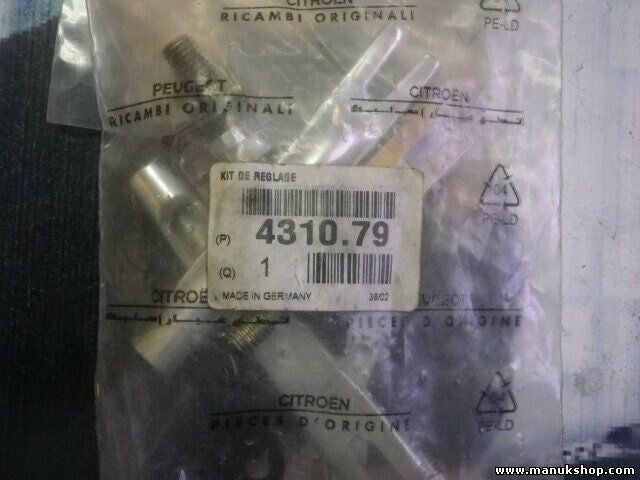 Citroen Peugeot 431079 4310.79