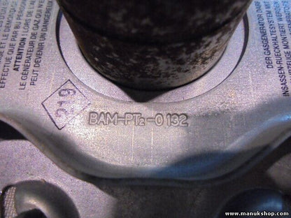 Beifahrer Renault Scenic RX4 8200201495 N7784 0151441600113 BAM-PT2-0132
