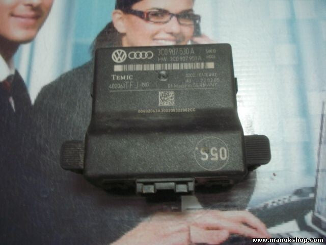 Gateway Diagnoseinterface VW Passat 3C B6 3C0907530A 3C0907951A TEMIC 402063TF