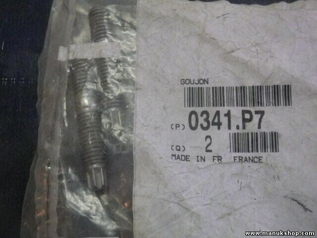Gestüt Peugeot Citroen 0341P7 0341.P7